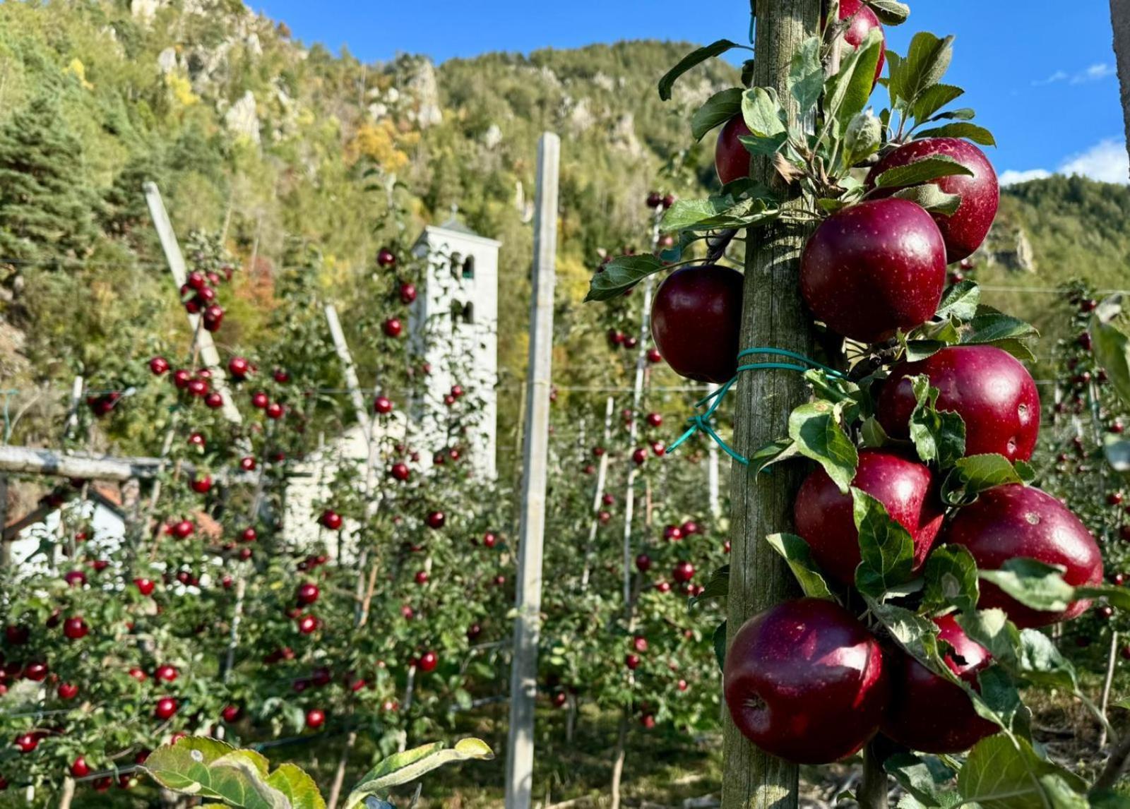 Ferienwohnungen Jojasa Ласес Екстериор снимка